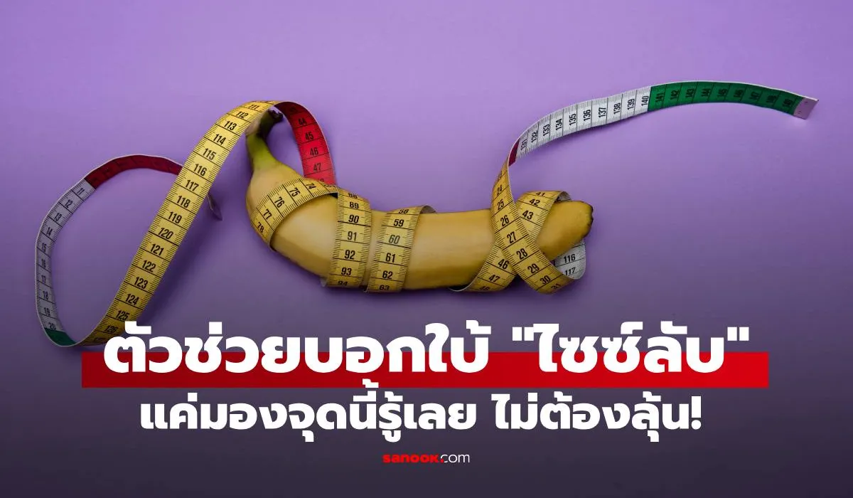 อวัยวะเพศชาย