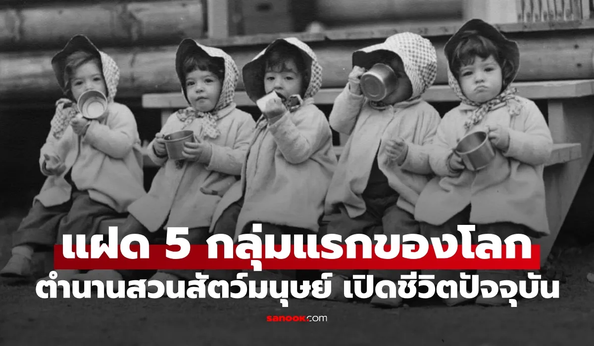 แฝดห้า