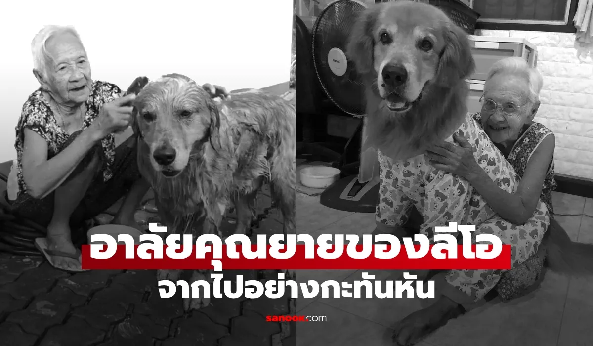 เพจลีโอไอ้หนูของยาย