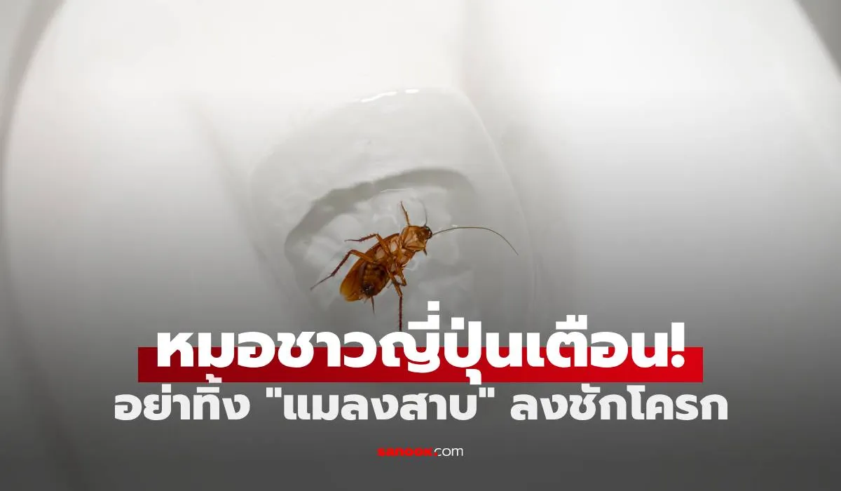 แมลงสาบ