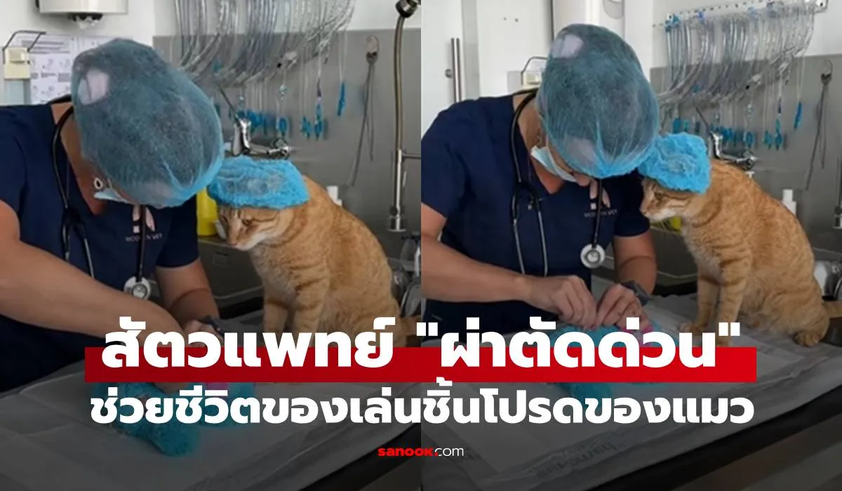 สัตวแพทย์