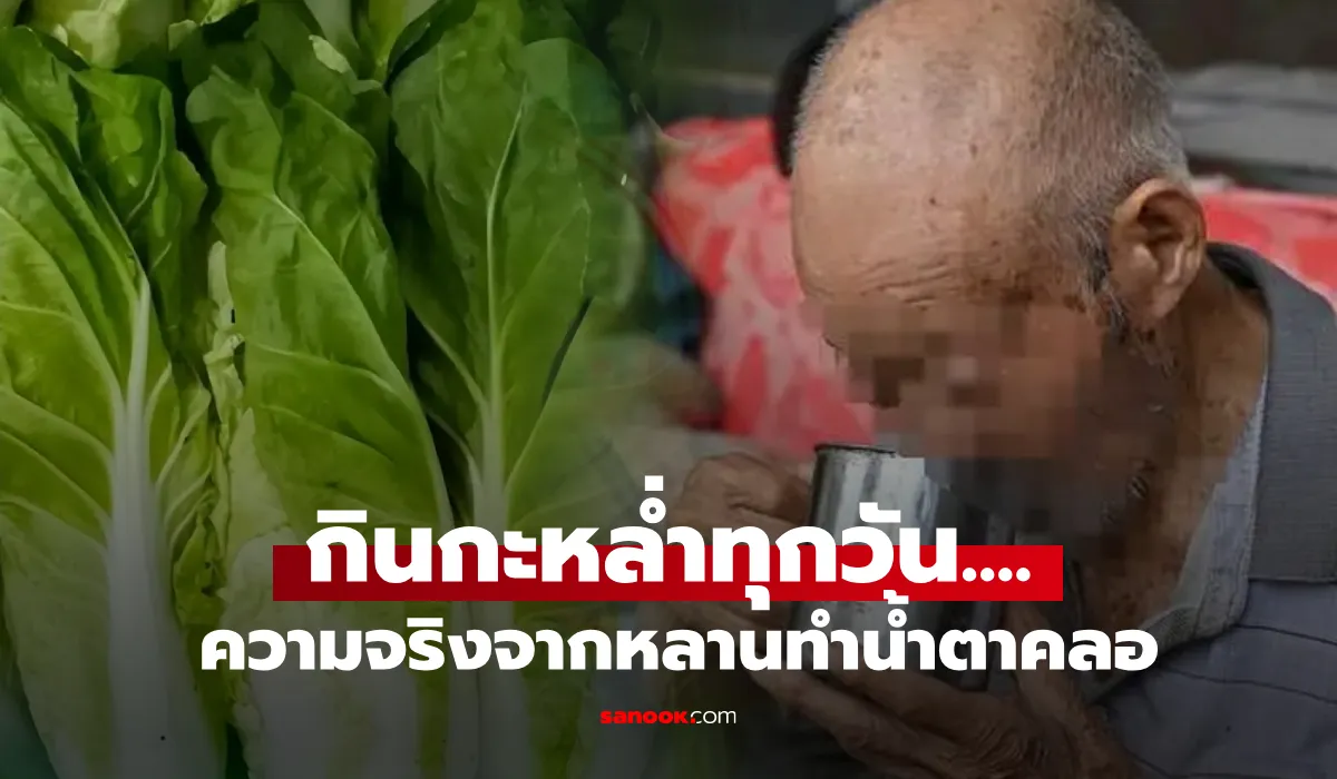 กะหล่ำปลี