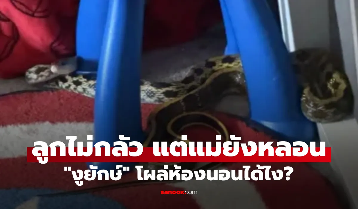 งูเหลือม