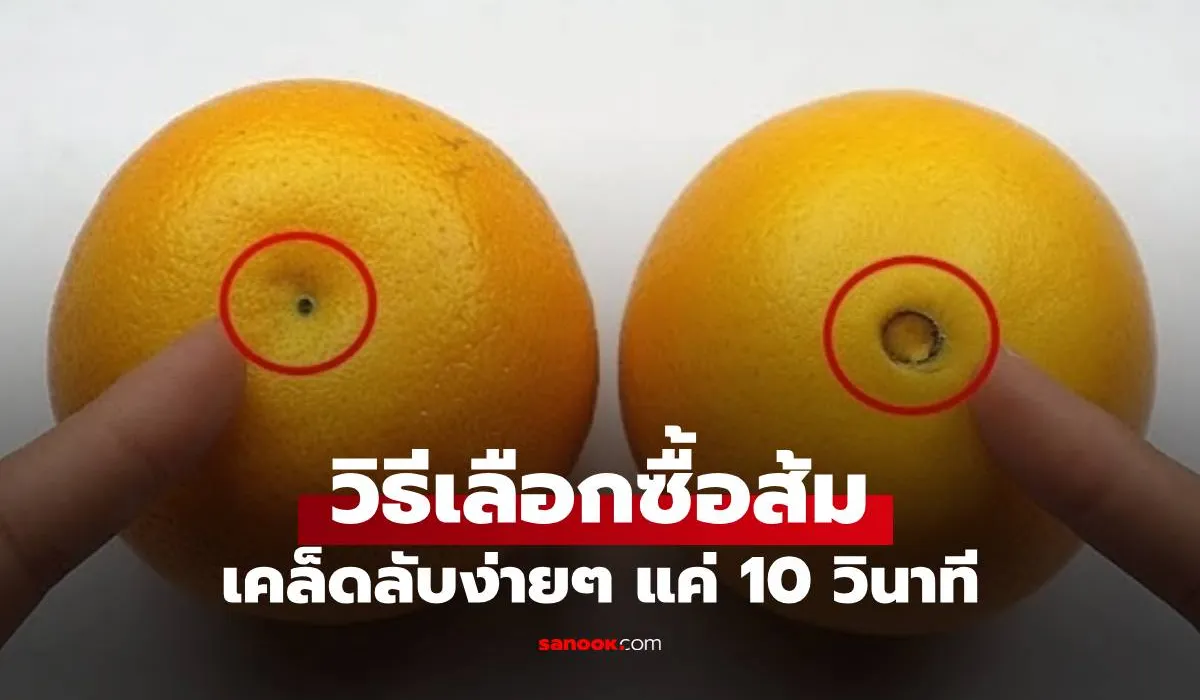วิธีเลือกส้ม