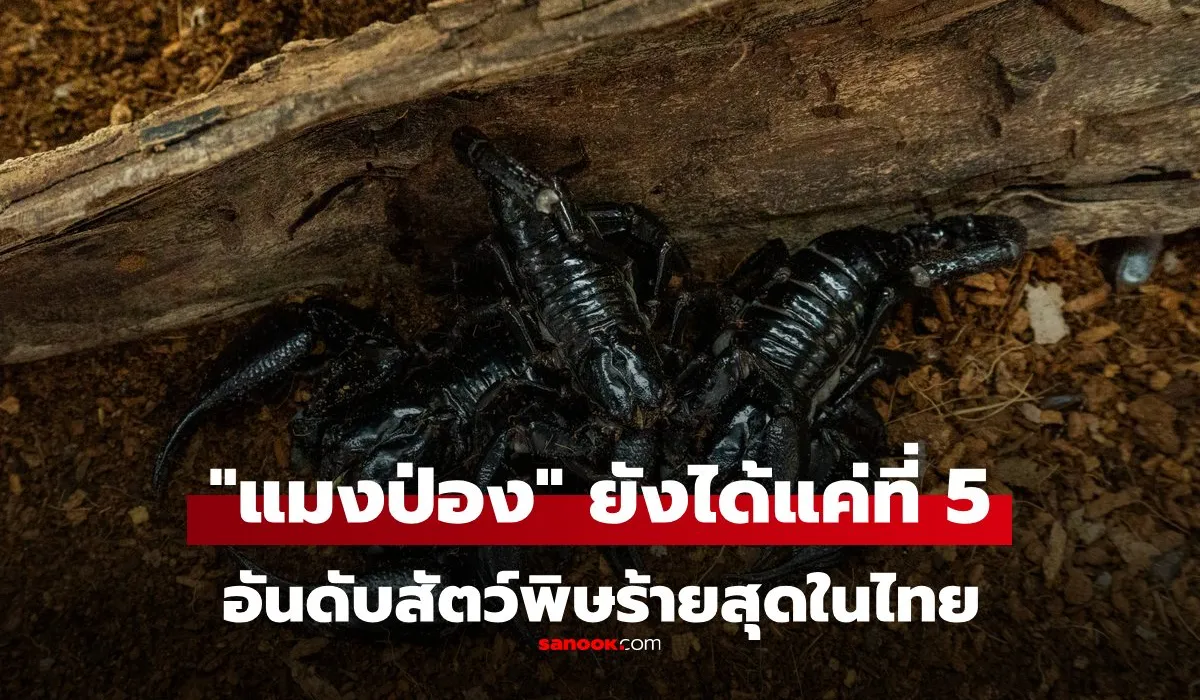 5 อันดับสัตว์มีพิษ