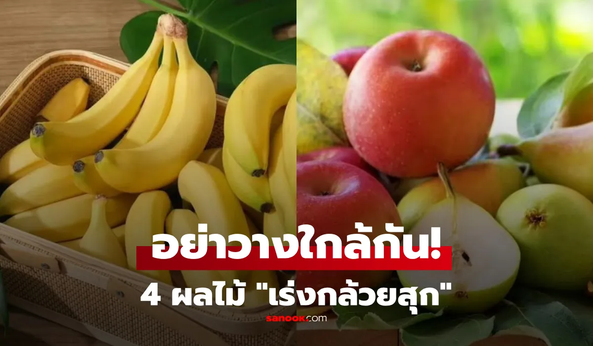 กล้วยสด