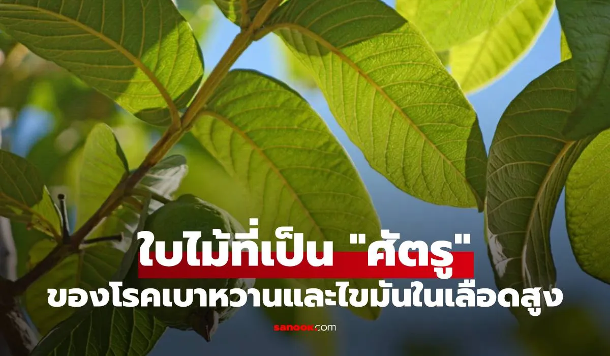 ใบไม้ที่เป็นศัตรู