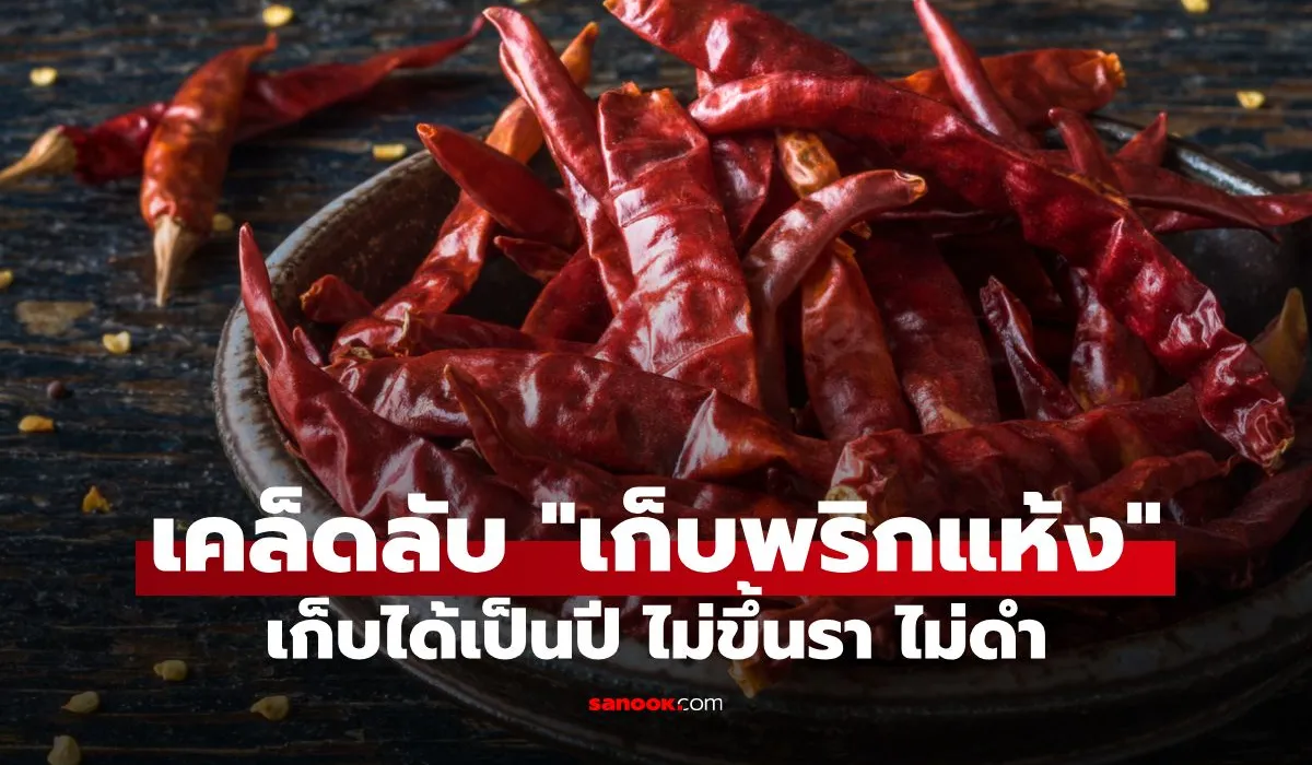 เก็บพริกแห้ง