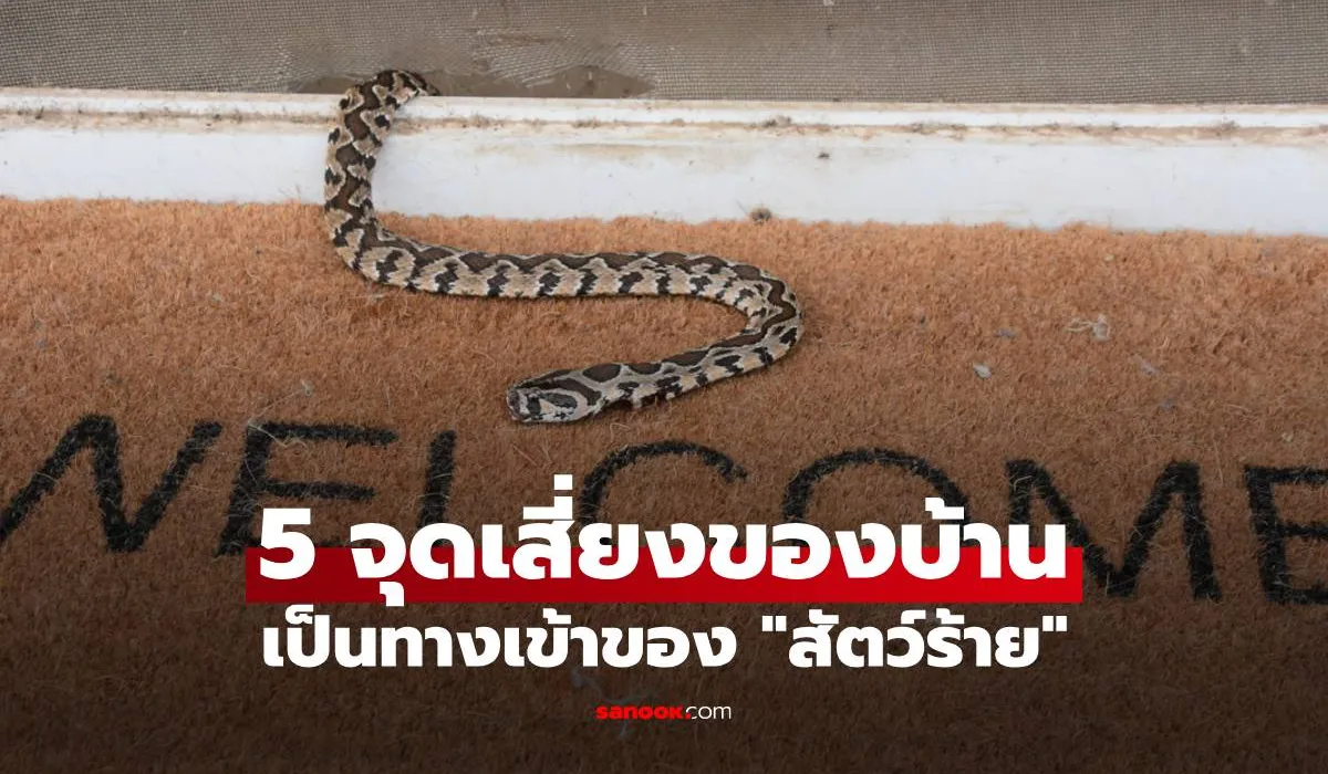 สัตว์ร้าย