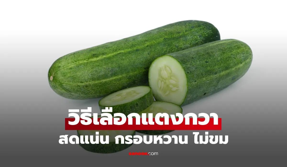 เคล็ดลับจากแม่ค้าแตงกวา