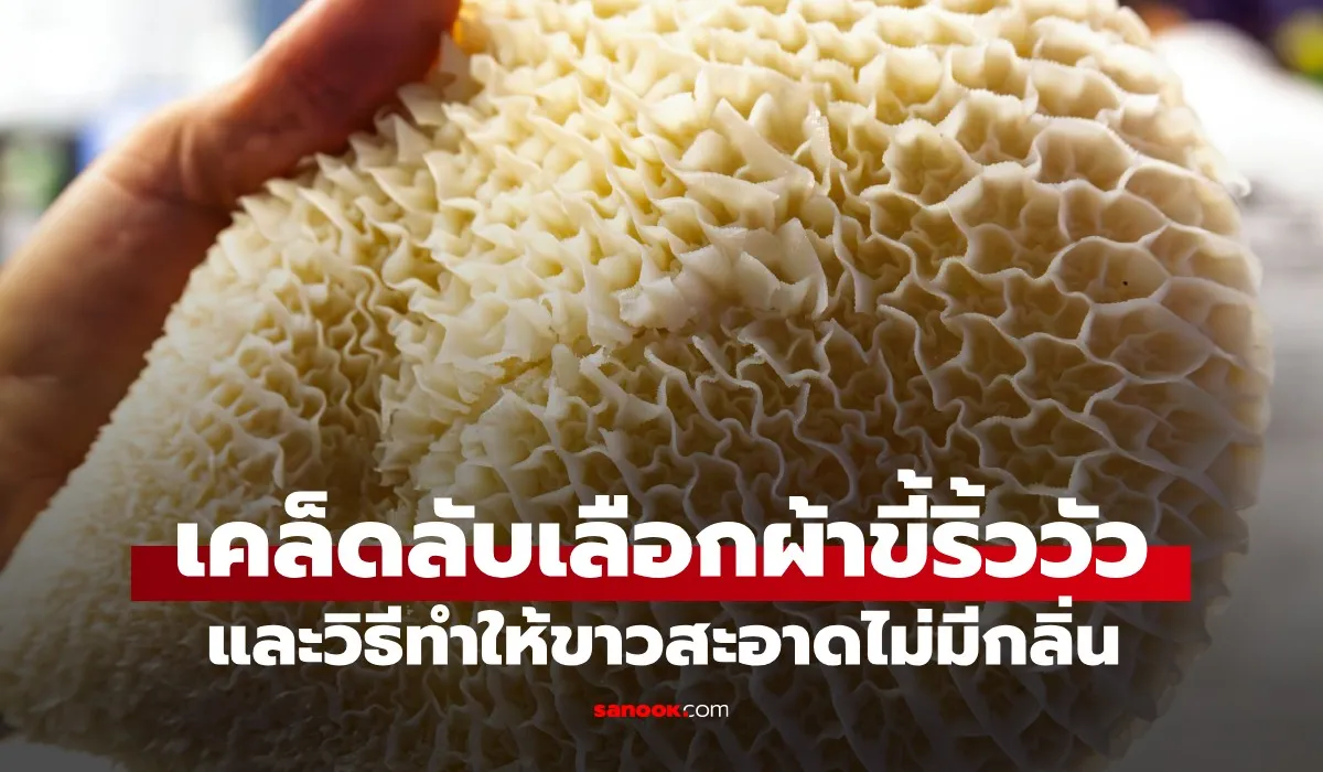 ผ้าขี้ริ้ววัว