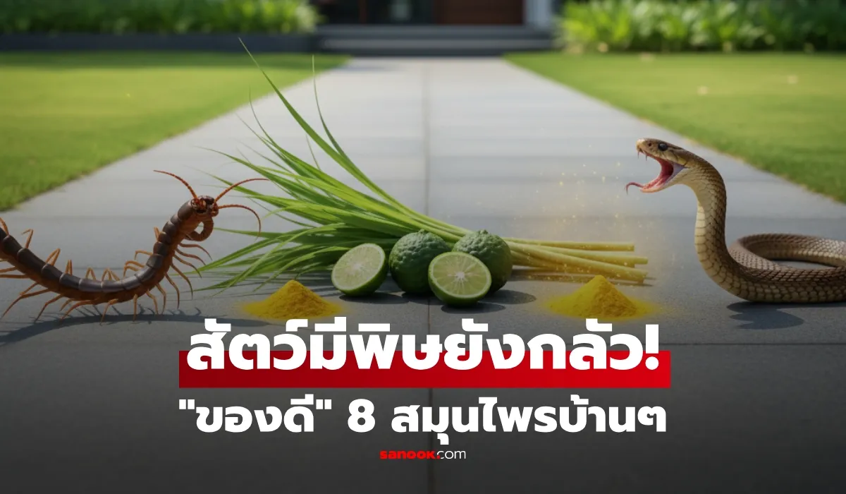 สมุนไพรไล่สัตว์มีพิษ