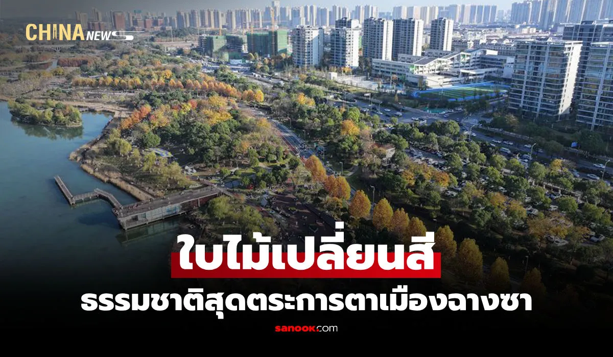 ต้นสนเปลี่ยนสี