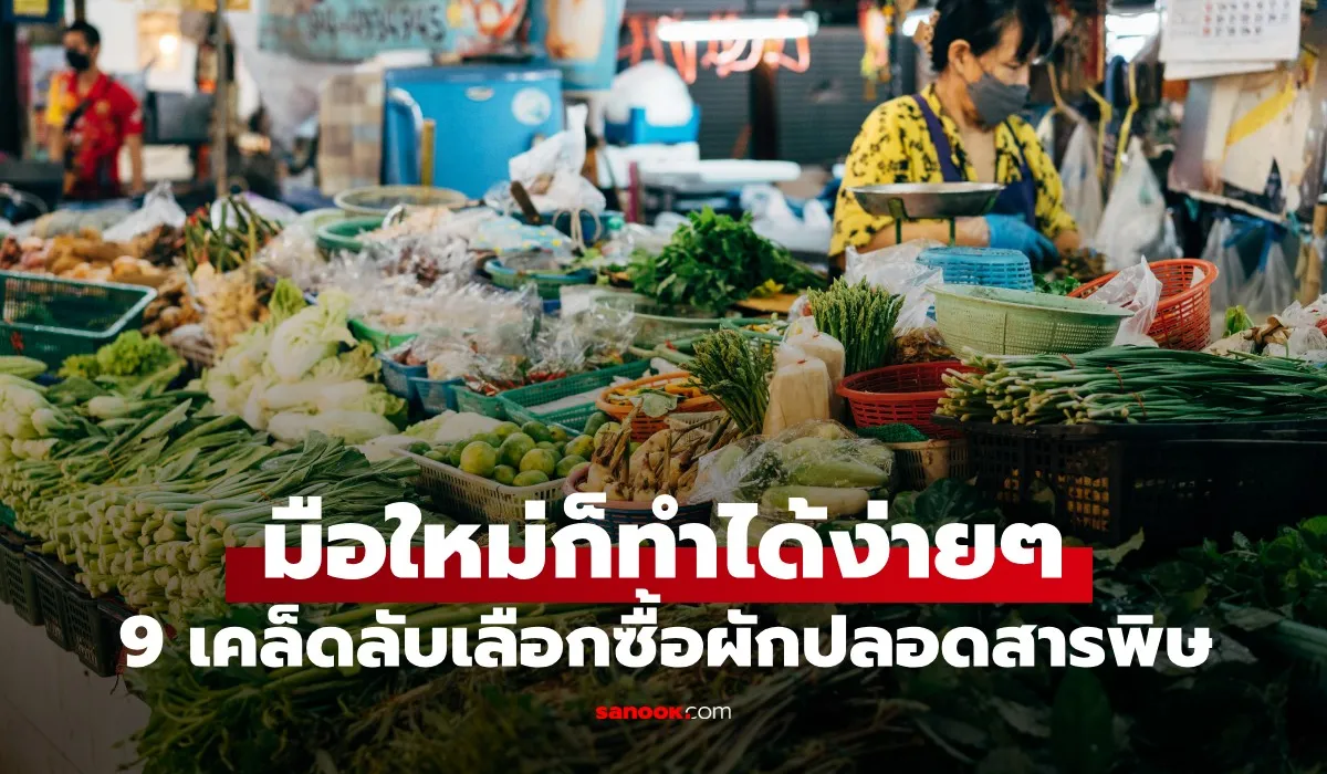 เลือกซื้อผักปลอดสารพิษ