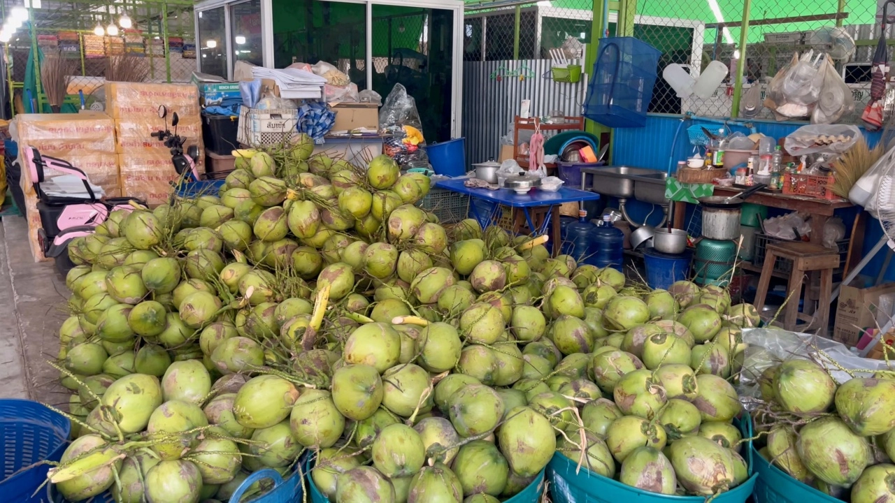 มะพร้าวน้ำหอม