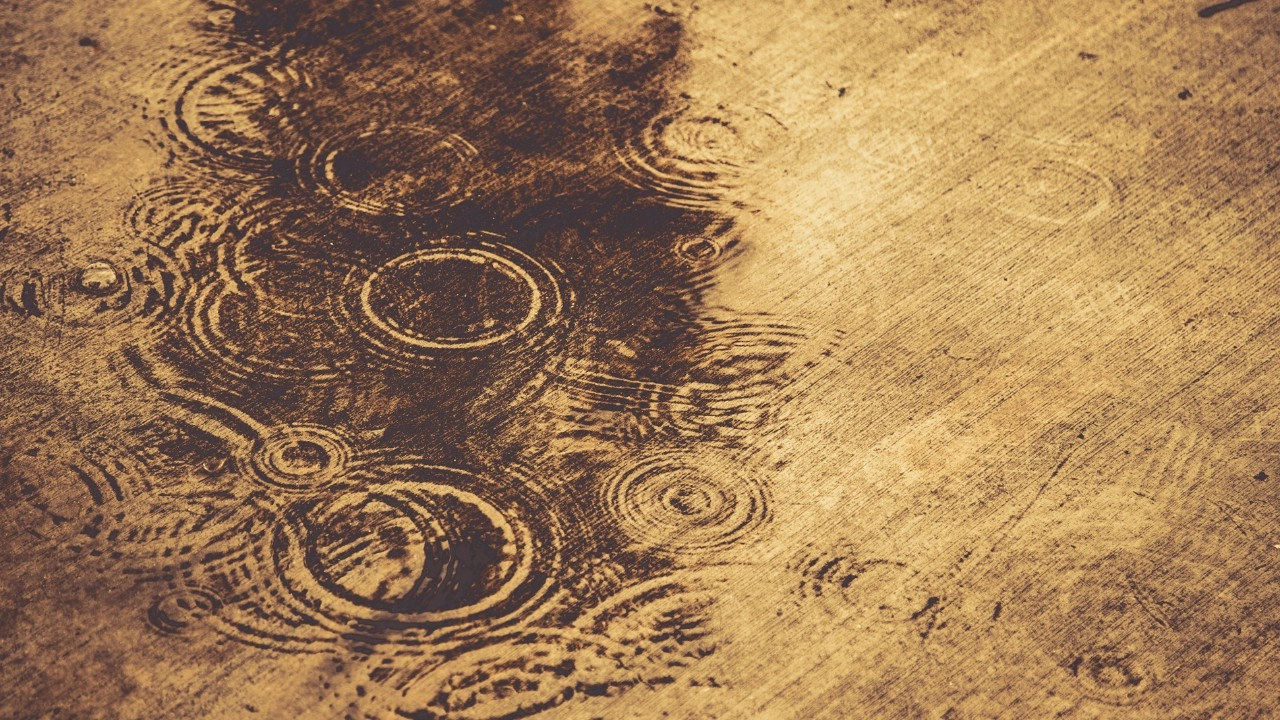 ฝนกรดสีดำ