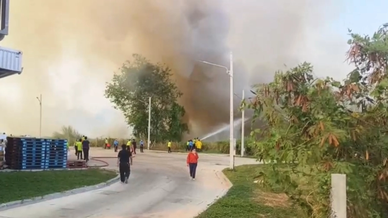 ไฟไหม้ป่าหลังโรงเรียน